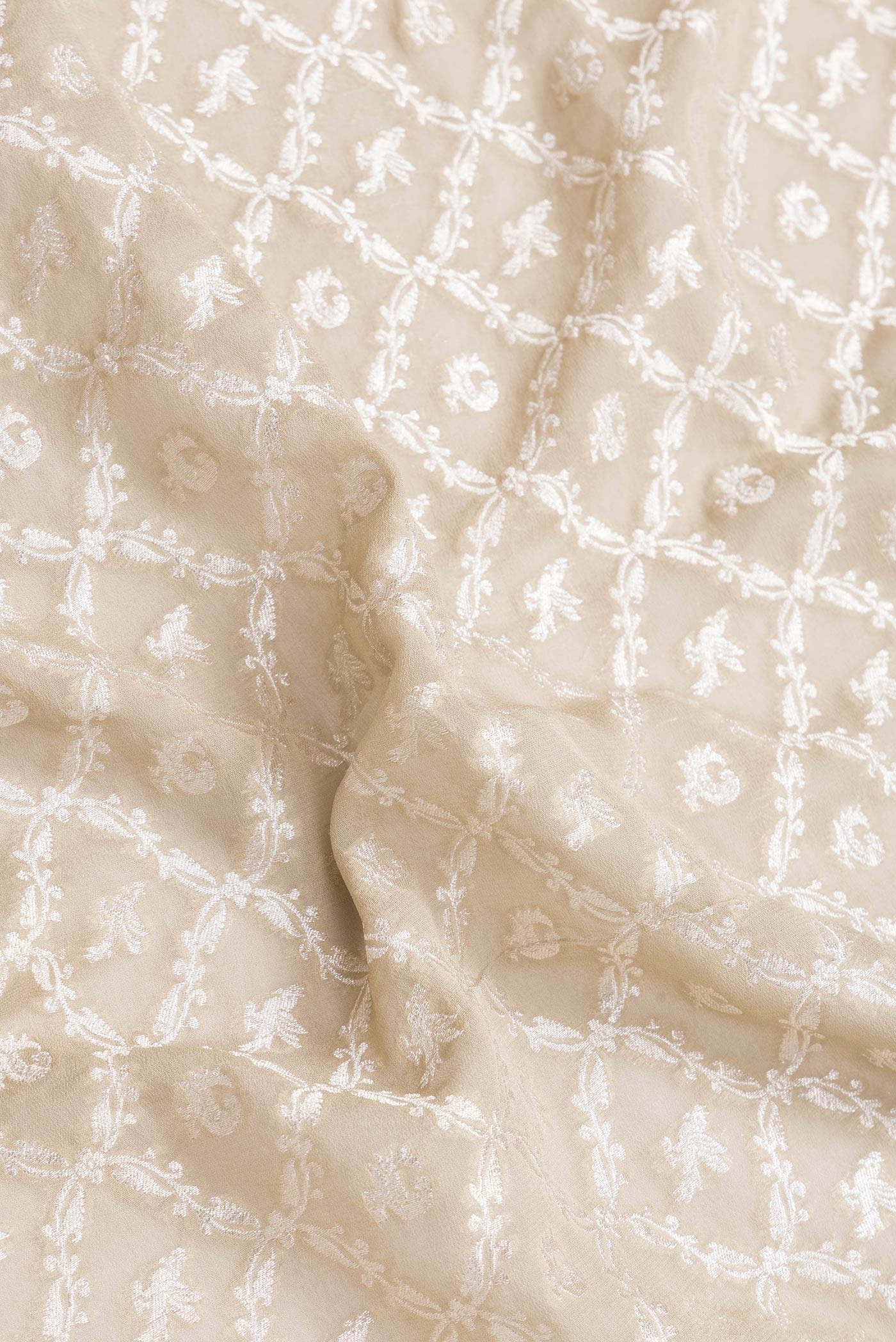 Beige Banarasi Georgette Saree - Image 2