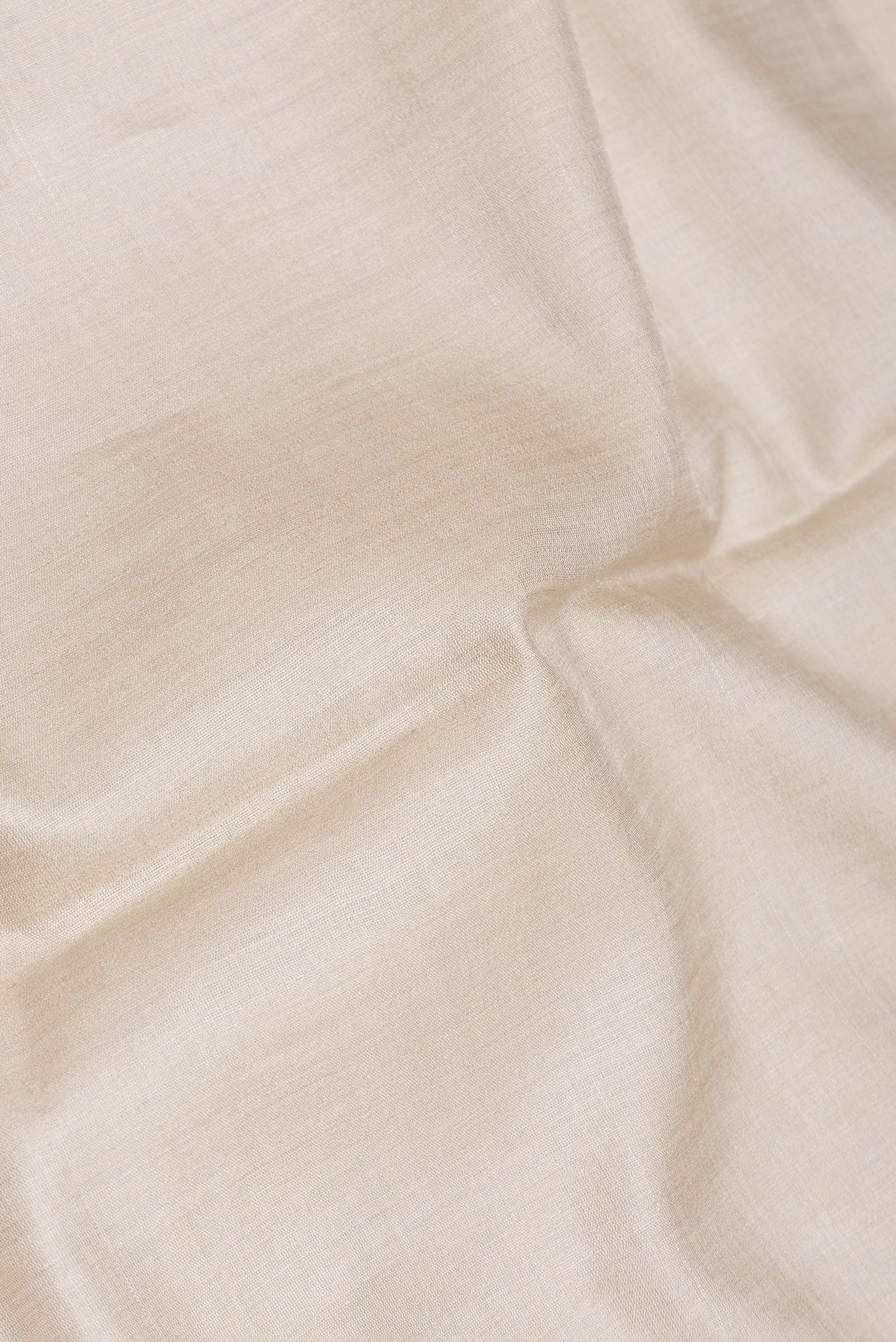 Beige Tussar Silk Saree - Image 2