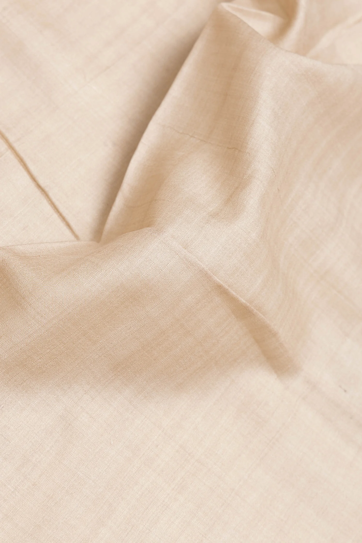 Beige Tussar Silk Saree - Image 2