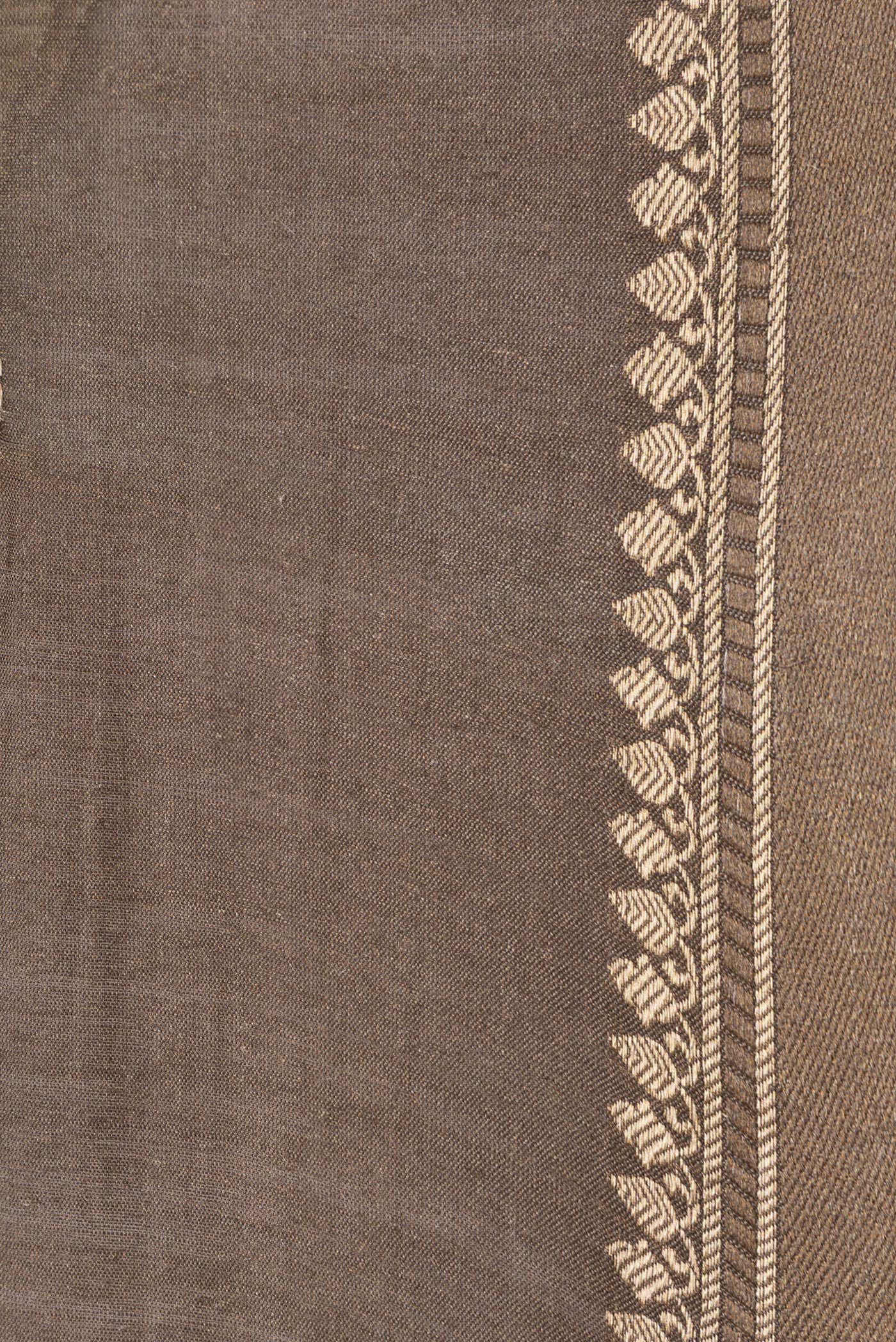 Beige Dual Tone Tussar Silk Saree - Image 3