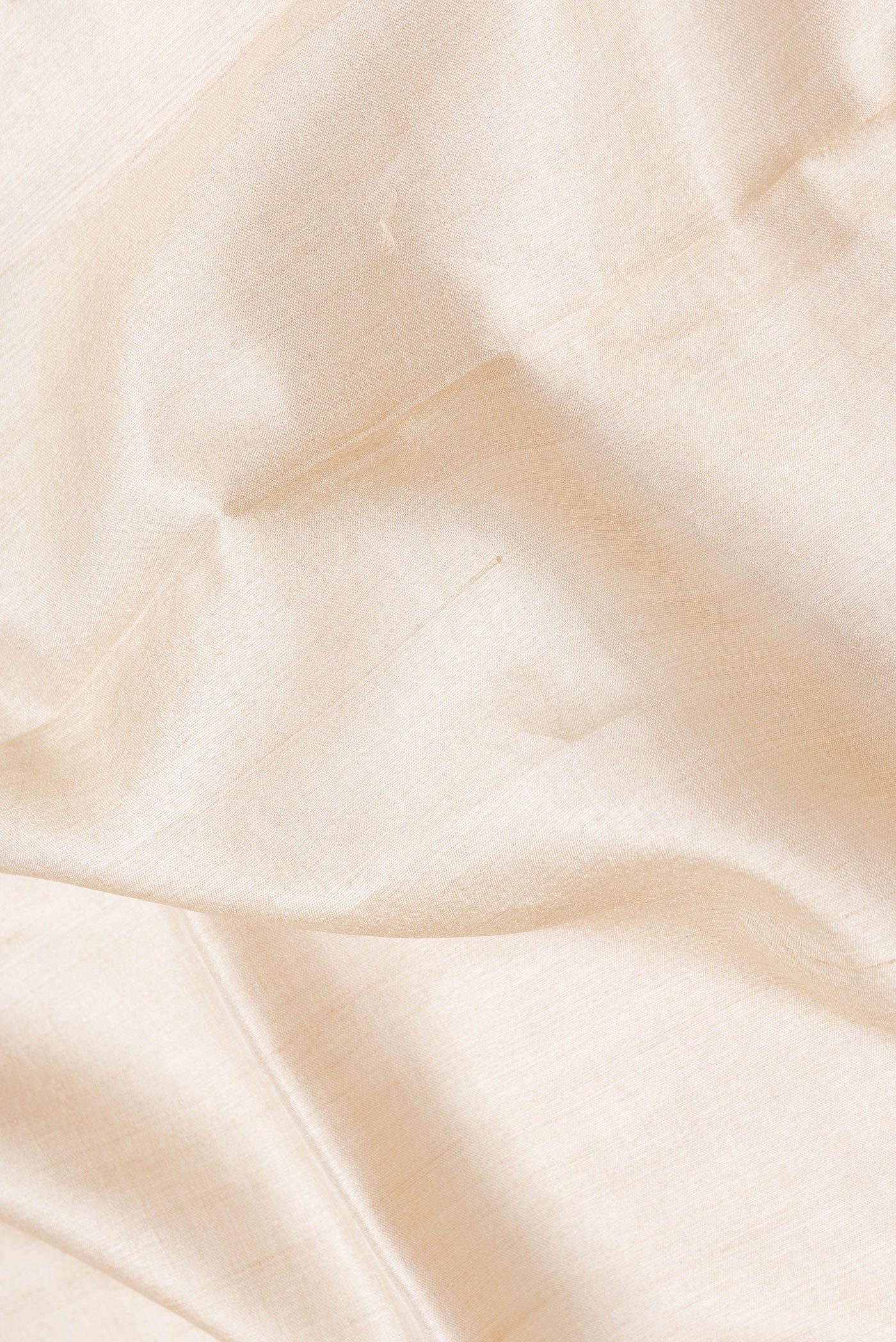 Beige Tussar Silk Saree - Image 2