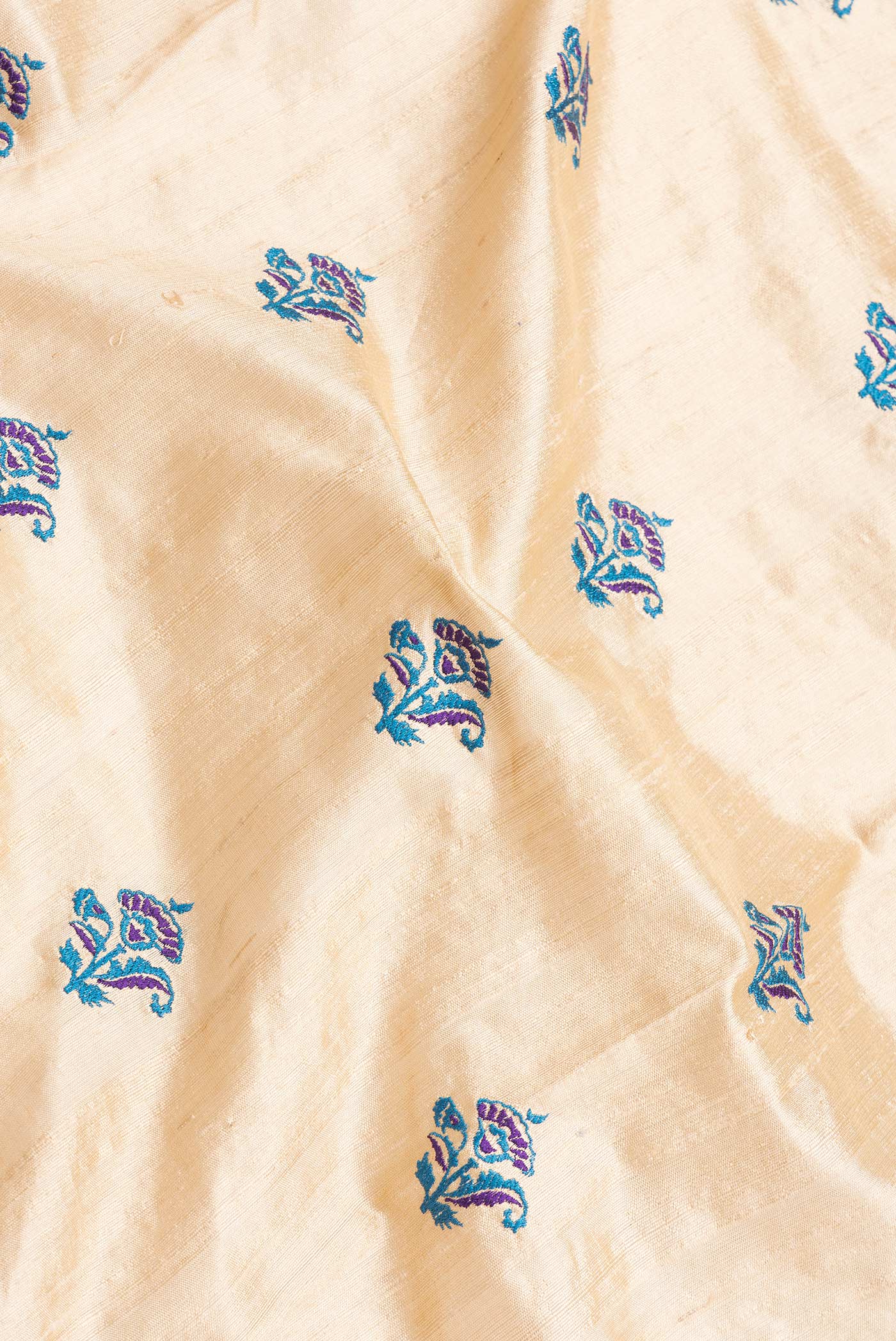 Beige Raw Silk Saree - Image 2