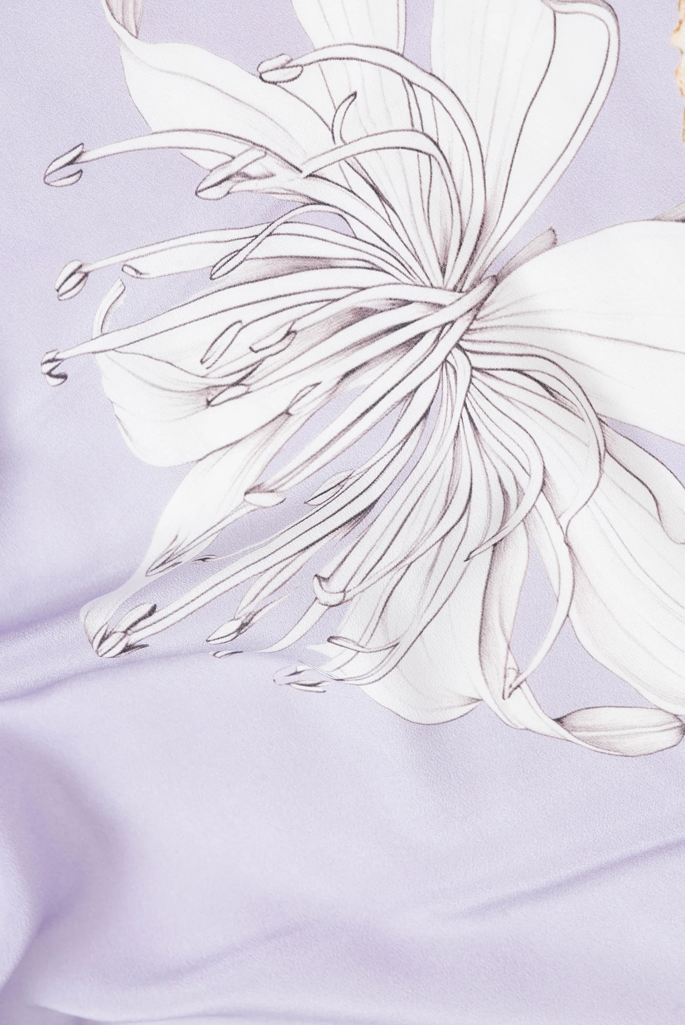 Lavender Mysore Crepe Saree - Image 2