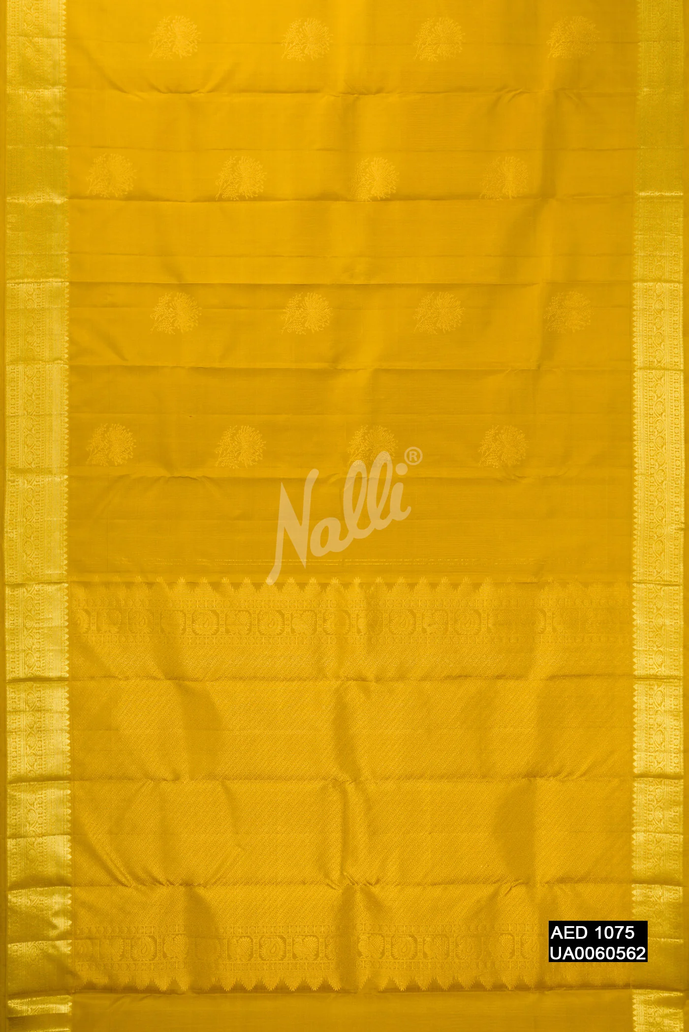 Light Green Dual Tone Kanchipuram Silk Saree