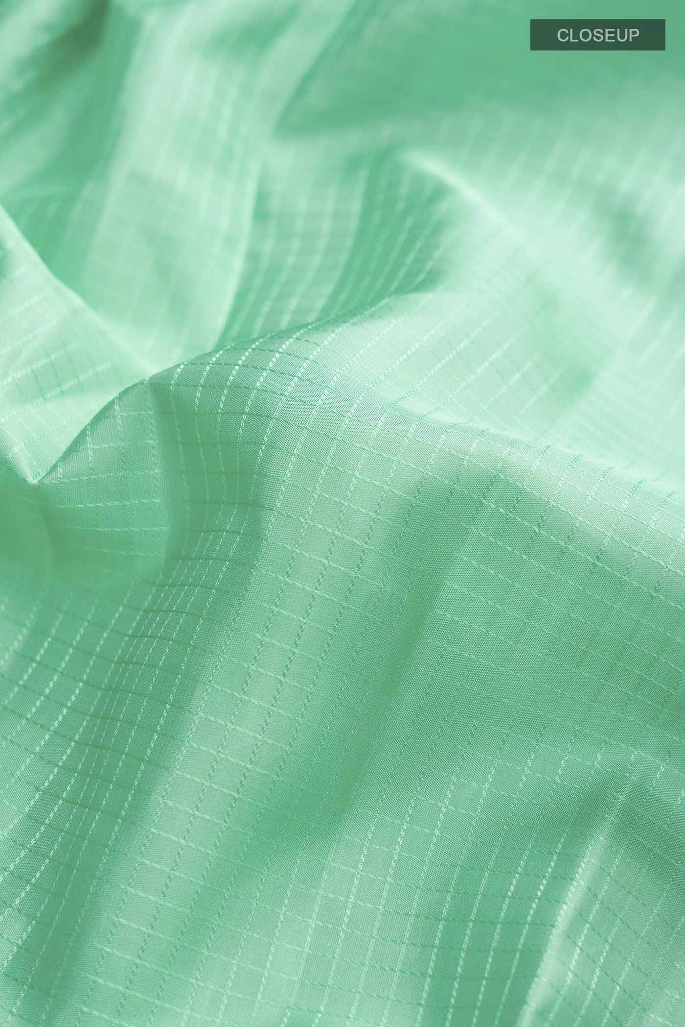 Mint Green Kanchipuram Silk Saree - Image 2