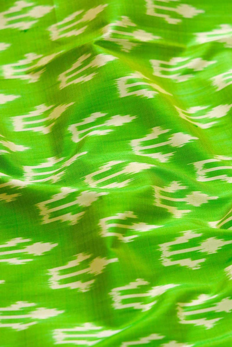 Parrot Green Dual Tone Double Ikat Saree - Image 3