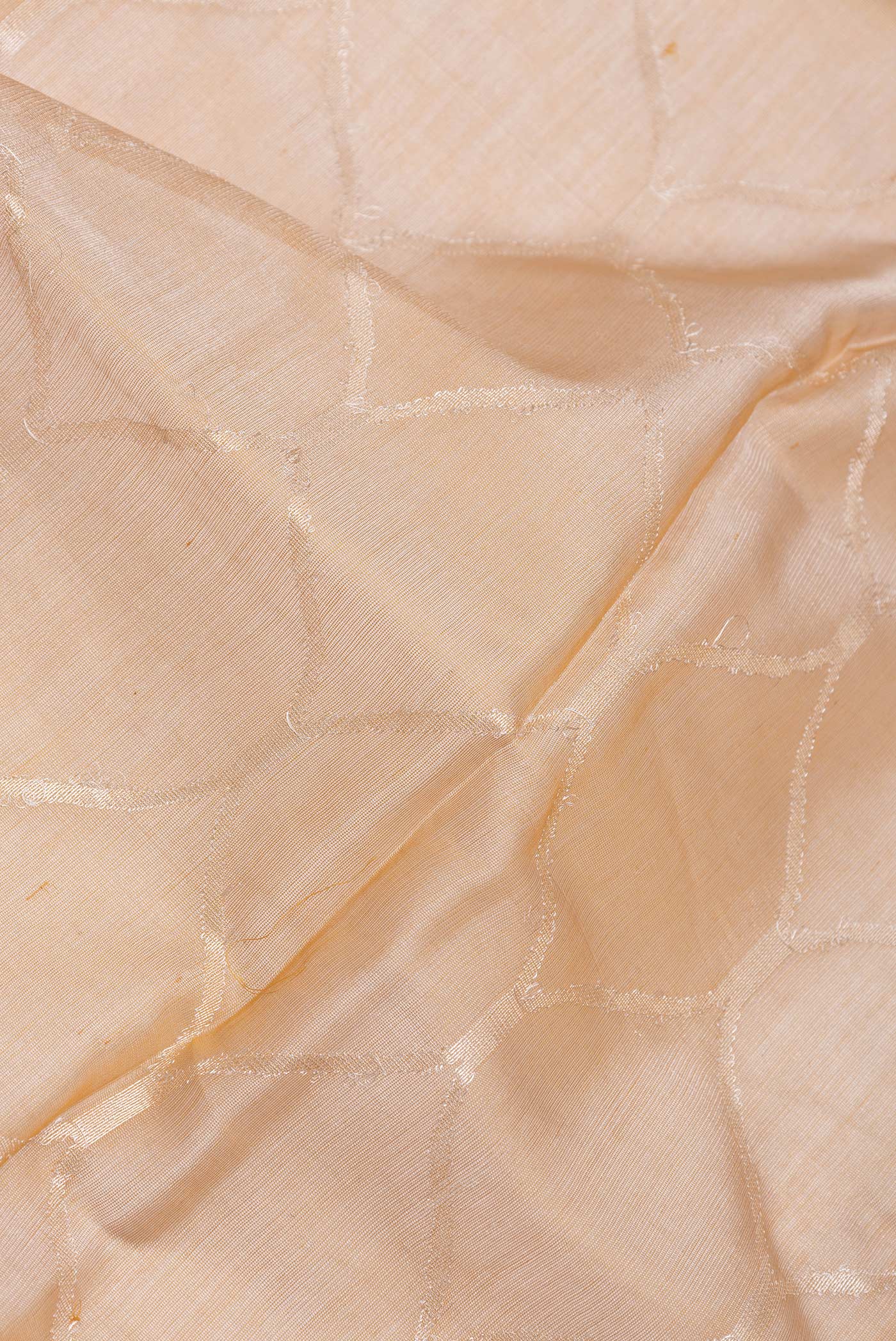 Sandal Chanderi Tissue Silk Saree - Image 2