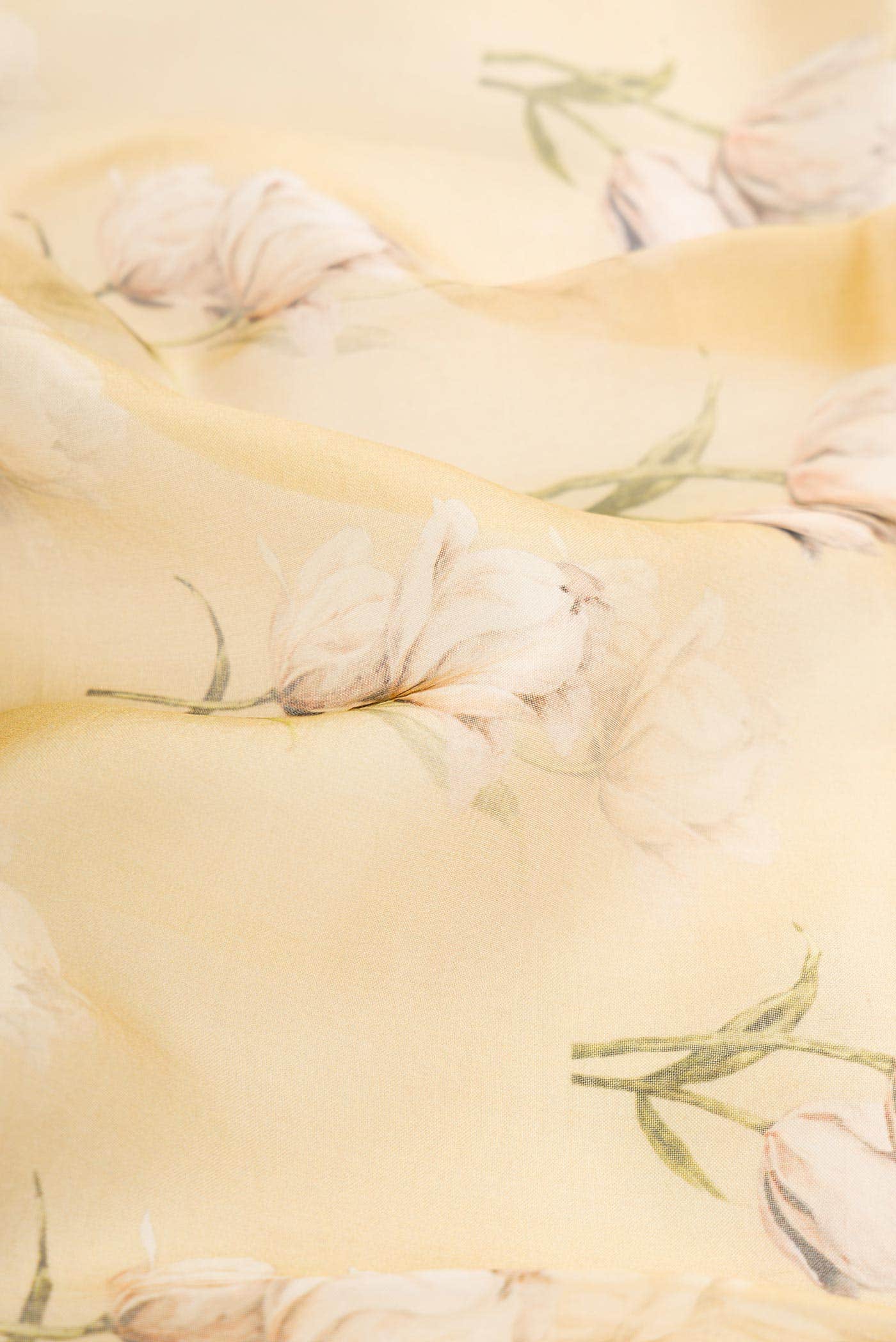 Sandal Organza Silk Saree - Image 3