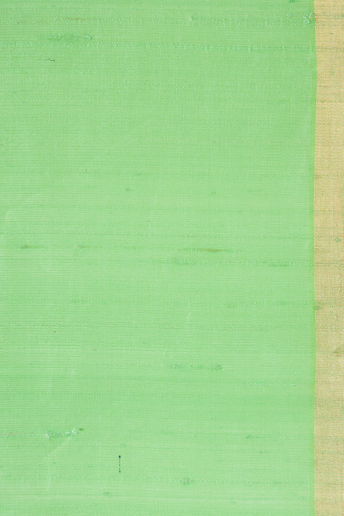 Mint Green Raw Silk Saree - Image 3