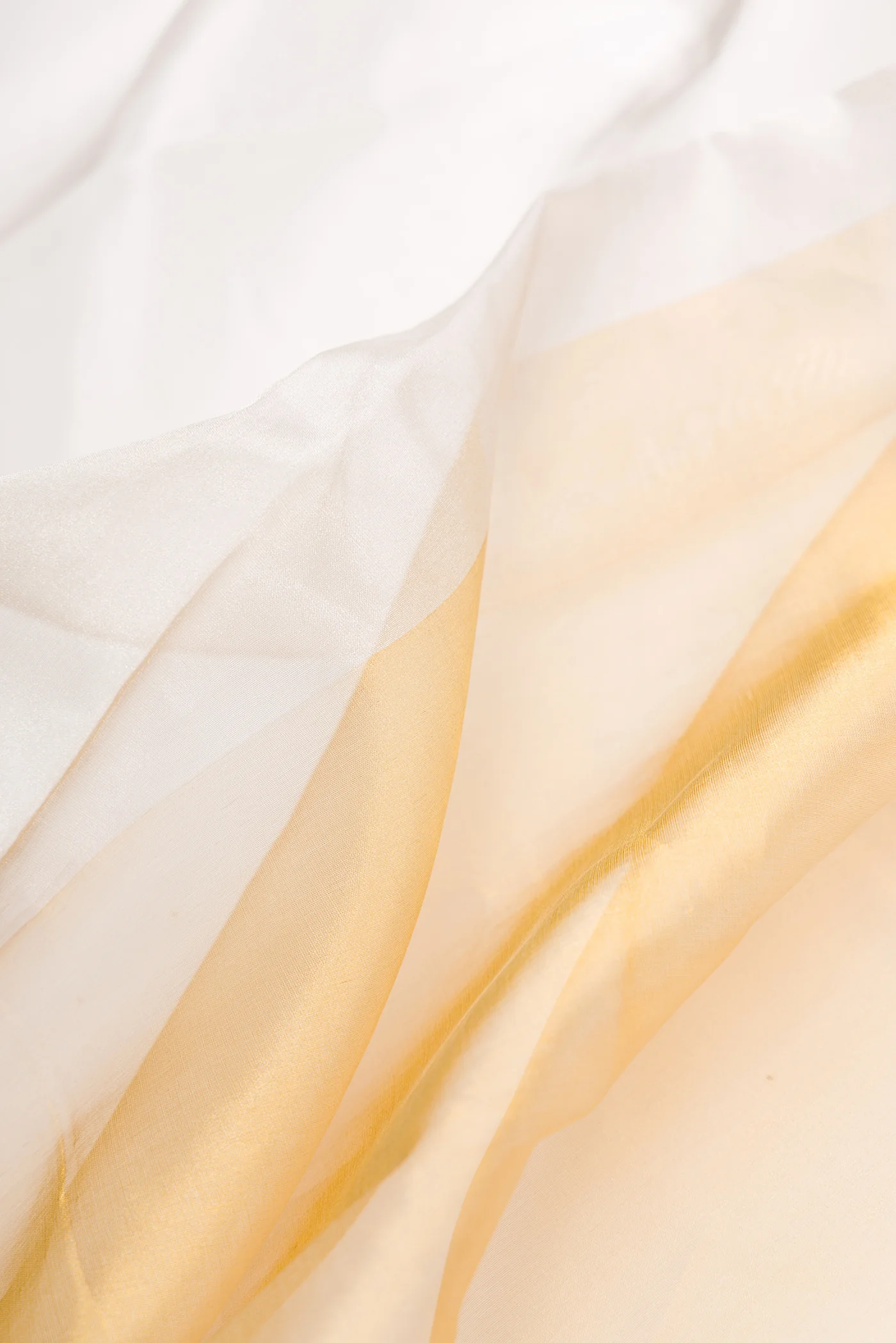 Silver and Gold Color Organza Silk Saree - Image 2