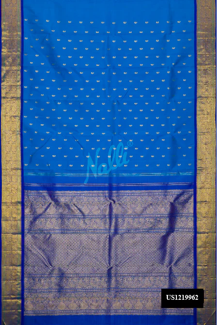 Sky Blue Dual Tone Kanchipuram Silk Saree