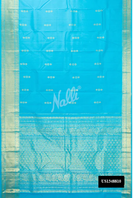 Sky Blue Dual Tone Kanchipuram Silk Saree